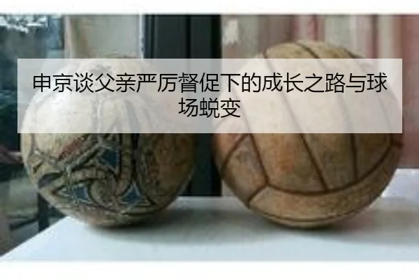 申京谈父亲严厉督促下的成长之路与球场蜕变